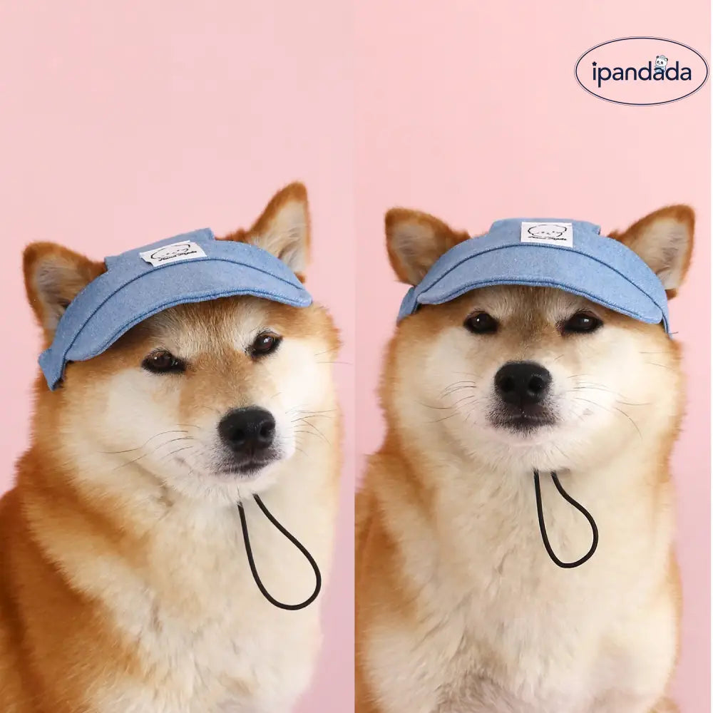 ID1348 デニムサンバイザー 刺繍ワッペン付き 柴犬専用 耳抜き設計 サイズ調節可能 UV99%遮断 通気メッシュ裏地 夏用 おしゃれ インスタ映え