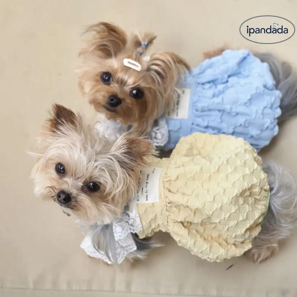 ID1359 夏用 韓国風 カラーブロック パンプキンドレス 立体ボリュームスカート ペットドレス 犬猫兼用 薄手軽量 ふわふわ肌触り 通気性抜群 抗菌 プリンセス かわいい