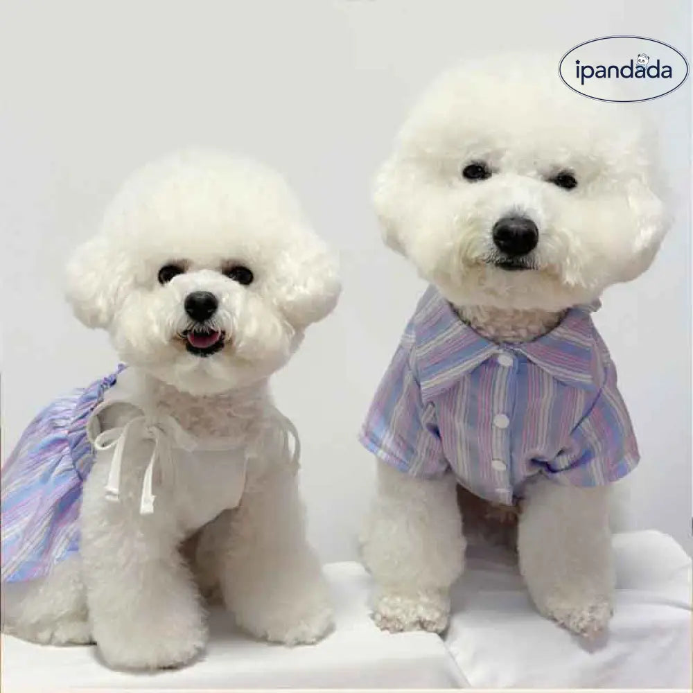 ID2099 ペットオーナー マッチング 韓国風 かわいい 犬用 猫用 服 ペア ブルー ストライプ シャツ おそろい コーデ ペットウェア オーナーウェア カップル おしゃれ 春 夏 薄手 軽やか 着心地 快適 ストライプ デザイン