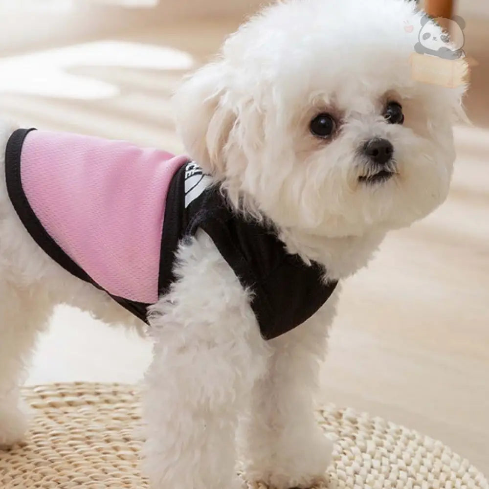 ID388 THE PET FACE メッシュタンクトップ 犬 犬服 ケーブル切り替え 涼しい 着せやすい おしゃれ かわいい 小型犬 中型犬 洋服 汚れ防止 メッシュ通気 ペット用品＞ウェア