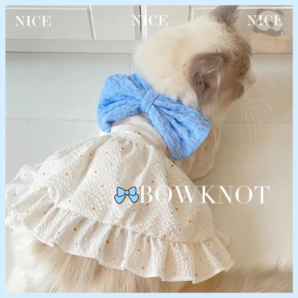 ID498 ドッグウェア 犬服 犬用 洋服 春夏秋 ペット用 夏 プリンセスドレス ティディベア ふんわりスカート ラグドール 薄手 夏服 ペット用品＞ウェア