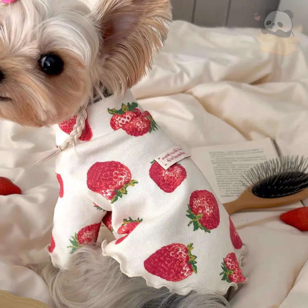 ID557 いちご 犬 服 レッド 犬服 S~XL 犬の服 ペットウェア おしゃれ かわいい 小型犬 中型犬 洋服 汚れ防止 ロングシーズン レッド / S ペット用品＞ウェア