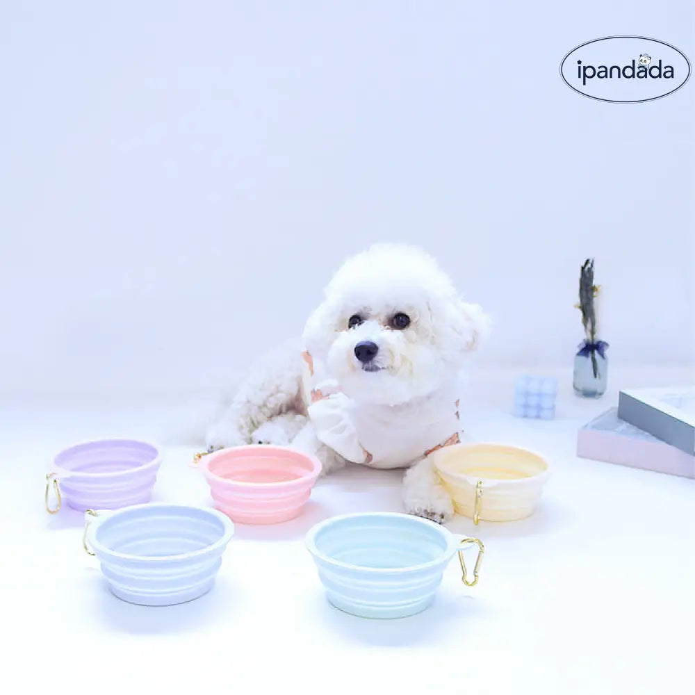 ID599 ペット用 折りたたみ ボウル ペット 犬 猫 フード ボウル 無地 カップ フードボール 餌入れ 給水器 食器 犬用 猫用 水飲み お散歩 お出かけ 携帯用 かわいい おしゃれ パステル ペット用品＞おもちゃ