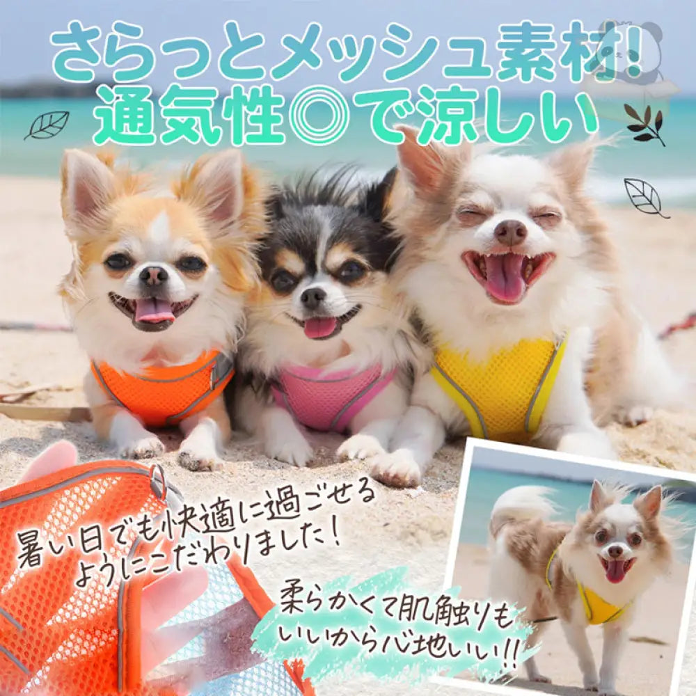 ID829 ハーネスセット 犬 猫 小型犬 中型犬 メッシュ 散歩 光反射素材 光る かわいい おしゃれ オレンジ 調整 通気性 ブルー フィット キャット お洒落 はーねす 子犬 子ネコ 成犬用 こねこ 脱げない イエロー