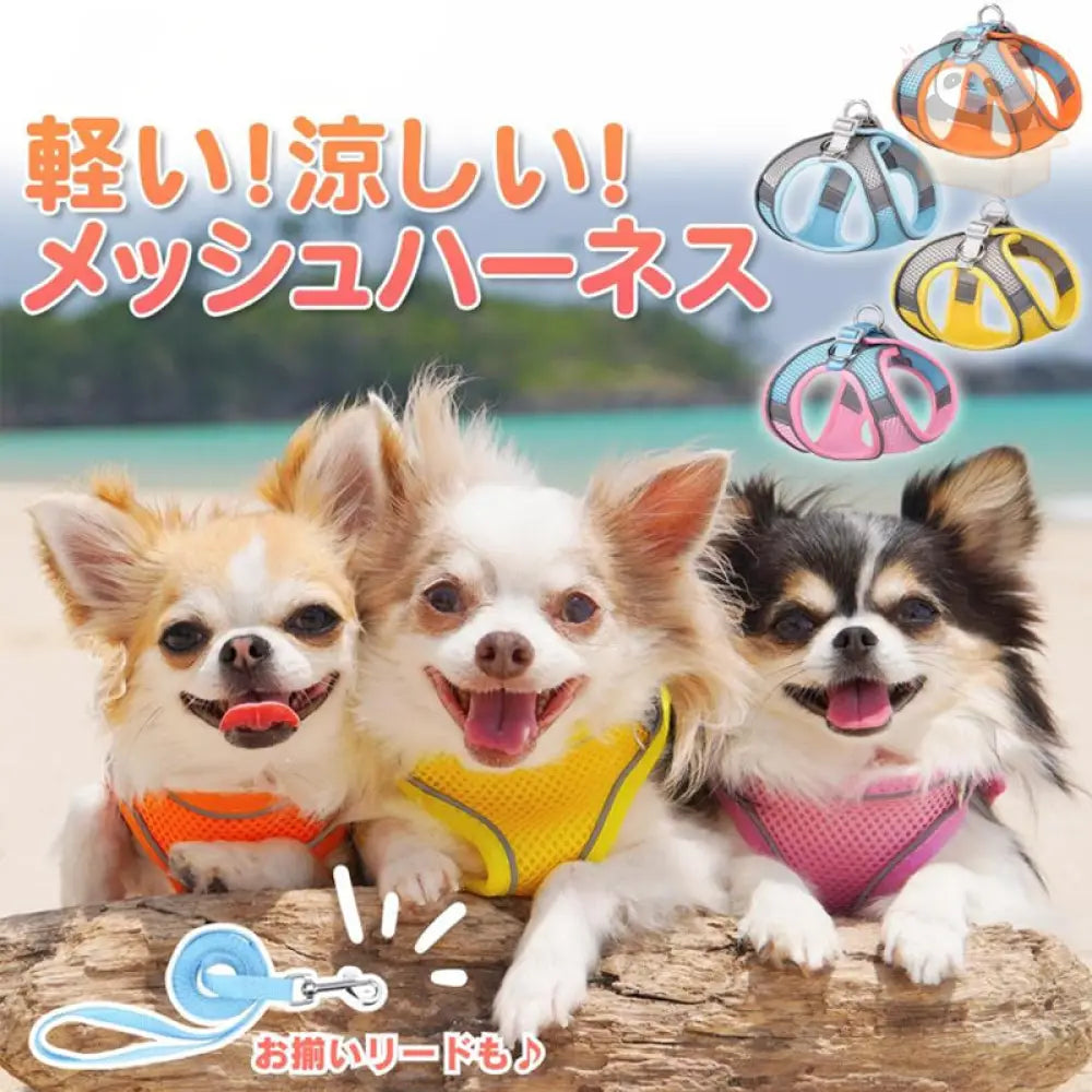 ID829 ハーネスセット 犬 猫 小型犬 中型犬 メッシュ 散歩 光反射素材 光る かわいい おしゃれ オレンジ 調整 通気性 ブルー フィット キャット お洒落 はーねす 子犬 子ネコ 成犬用 こねこ 脱げない イエロー