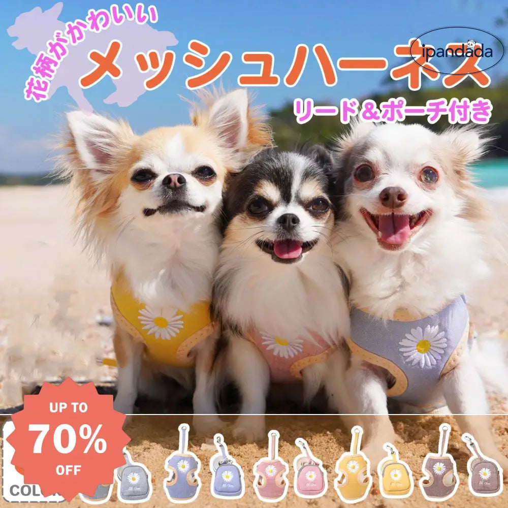 ID875 ハーネス 犬 猫 メッシュ 小型犬 花柄 花 リード付き 涼しい 散歩 かわいい おしゃれ 通気性 ぽーち ブルー パステルカラー お洒落 ぽーち 青 はーねす 子犬 成犬用 こねこ イエロー おさんぽ ポーチ 小 愛犬