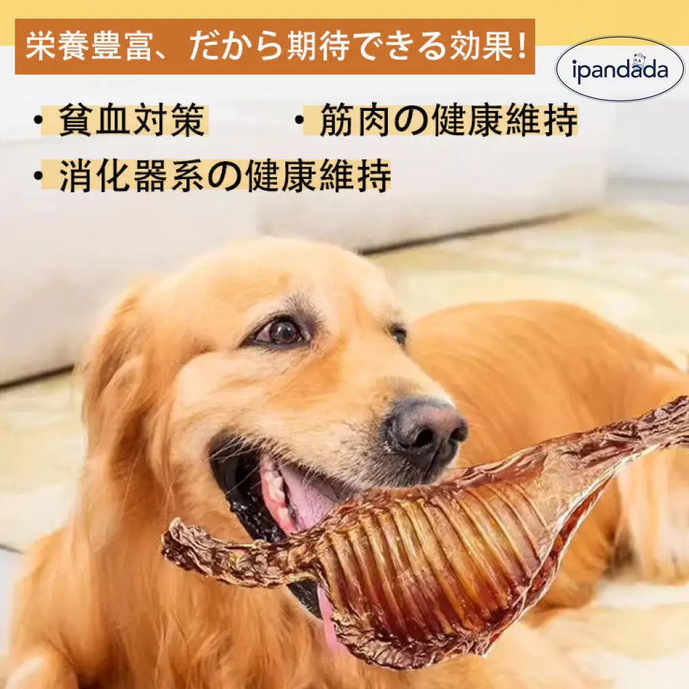 ID977 犬用 ラムチョップ 歯磨き 健康維持 ストレス解消 低温乾燥 無添加ラムチョップ ドッグフード 犬 おやつ ジャーキー ペットフード オヤツ ダイエット おすすめ 低脂肪 小型犬 中型犬 大型犬 老犬 ペット用品＞ペットおやつ
