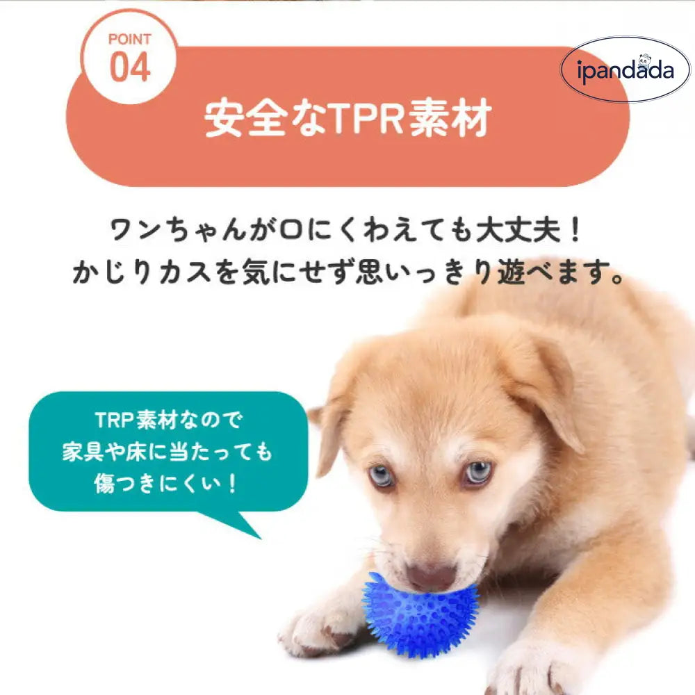 イガイガ 犬 ボール 音が鳴る おもちゃ ペット 硬い イガイガボール 犬 小型犬 中型犬 大型犬 定形外 玩具 トイ 可愛い かわいい 人気 ピコピコ イガイガ デンタルケア ダイエット トレーニング 運動 ID1901