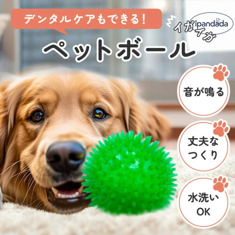 イガイガ 犬 ボール 音が鳴る おもちゃ ペット 硬い イガイガボール 犬 小型犬 中型犬 大型犬 定形外 玩具 トイ 可愛い かわいい 人気 ピコピコ イガイガ デンタルケア ダイエット トレーニング 運動 ID1901
