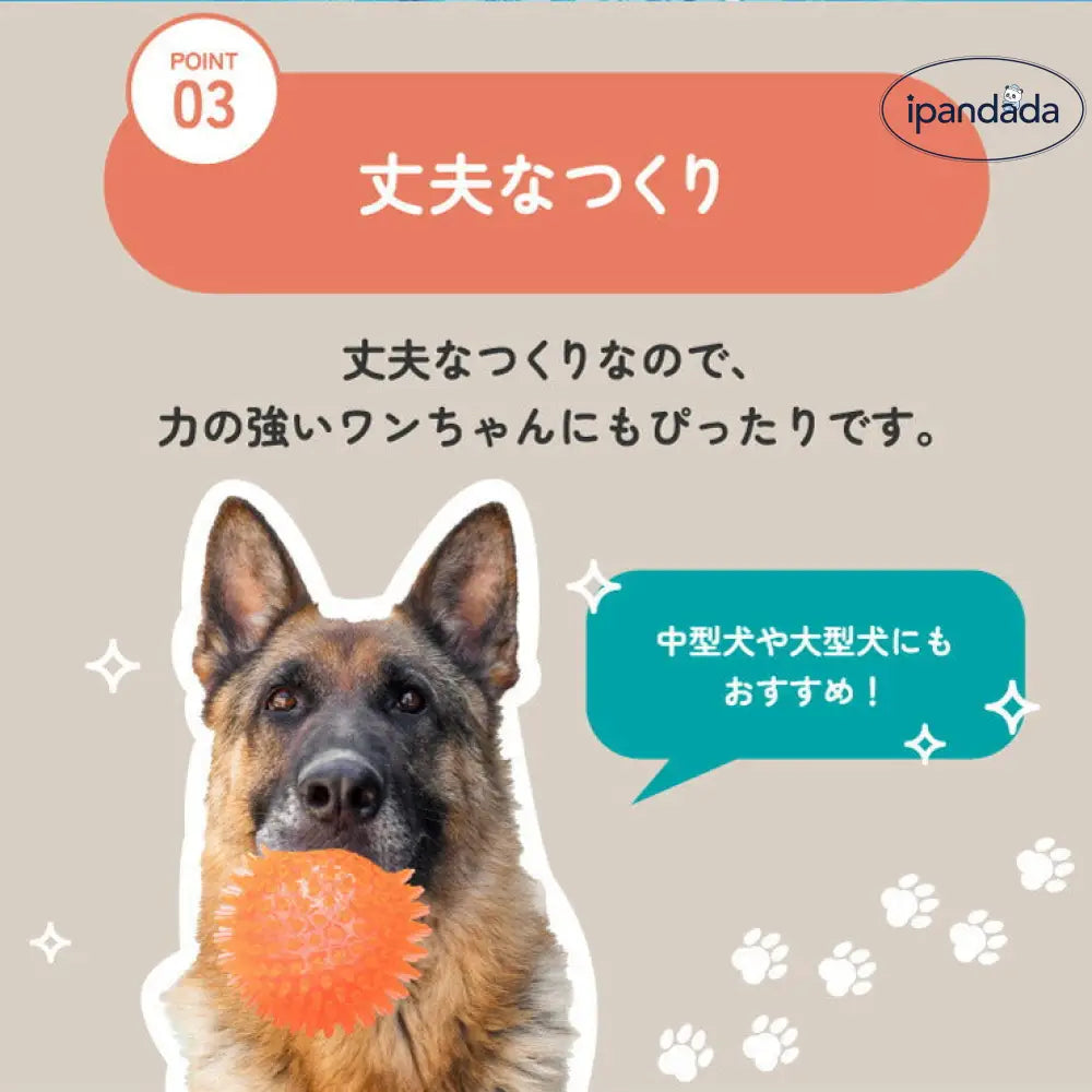 イガイガ 犬 ボール 音が鳴る おもちゃ ペット 硬い イガイガボール 犬 小型犬 中型犬 大型犬 定形外 玩具 トイ 可愛い かわいい 人気 ピコピコ イガイガ デンタルケア ダイエット トレーニング 運動 ID1901