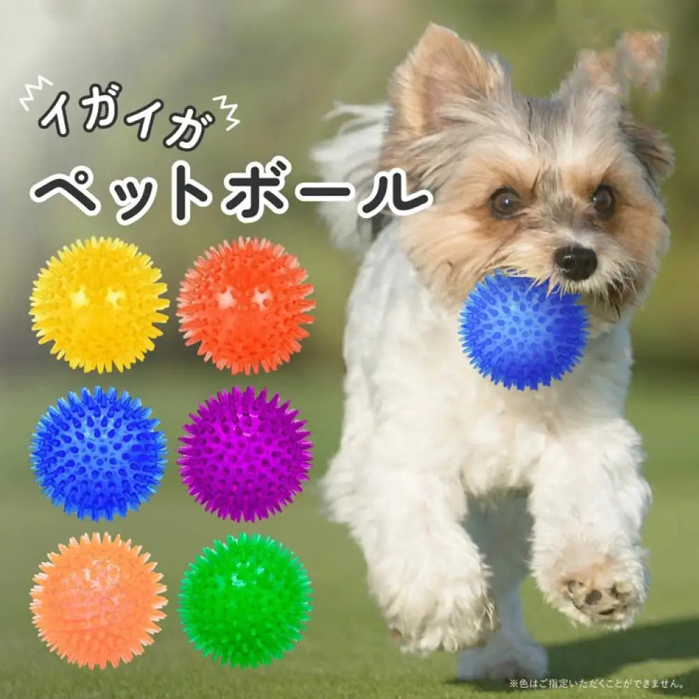 イガイガ 犬 ボール 音が鳴る おもちゃ ペット 硬い イガイガボール 犬 小型犬 中型犬 大型犬 定形外 玩具 トイ 可愛い かわいい 人気 ピコピコ イガイガ デンタルケア ダイエット トレーニング 運動 ID1901