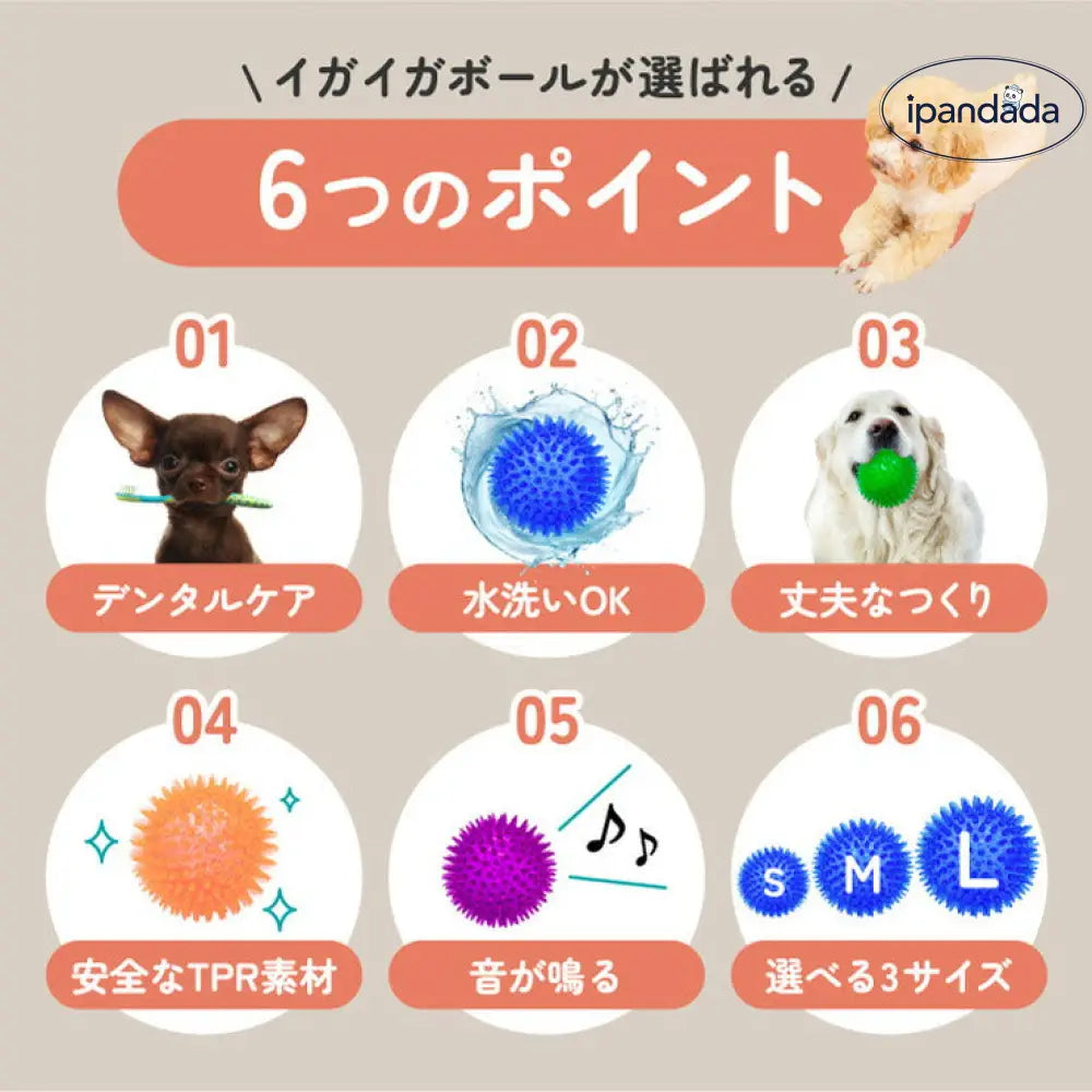 イガイガ 犬 ボール 音が鳴る おもちゃ ペット 硬い イガイガボール 犬 小型犬 中型犬 大型犬 定形外 玩具 トイ 可愛い かわいい 人気 ピコピコ イガイガ デンタルケア ダイエット トレーニング 運動 ID1901