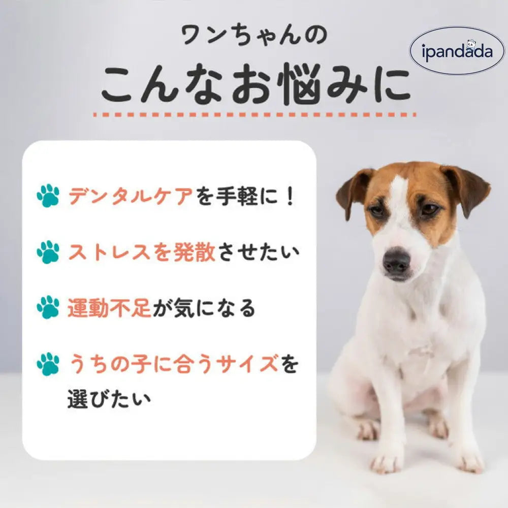 イガイガ 犬 ボール 音が鳴る おもちゃ ペット 硬い イガイガボール 犬 小型犬 中型犬 大型犬 定形外 玩具 トイ 可愛い かわいい 人気 ピコピコ イガイガ デンタルケア ダイエット トレーニング 運動 ID1901