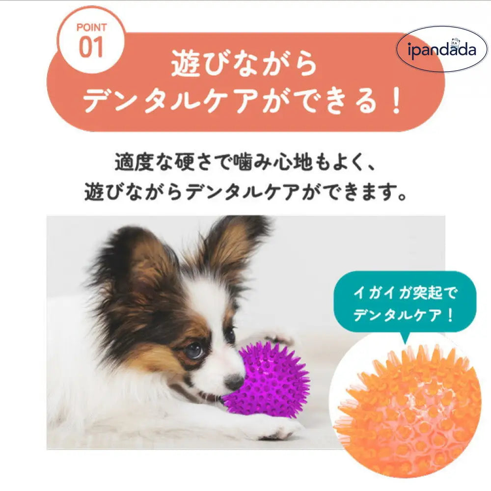 イガイガ 犬 ボール 音が鳴る おもちゃ ペット 硬い イガイガボール 犬 小型犬 中型犬 大型犬 定形外 玩具 トイ 可愛い かわいい 人気 ピコピコ イガイガ デンタルケア ダイエット トレーニング 運動 ID1901