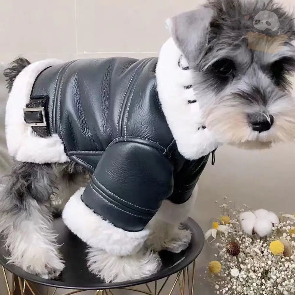 かっこいい 革ジャン風 アウター ジャケット アメカジ トップス ドッグウェア 犬服 秋冬物 小型犬 中型犬用 厚手 ペット用品＞ウェア