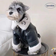 かっこいい 革ジャン風 アウター ジャケット アメカジ トップス ドッグウェア 犬服 秋冬物 小型犬 中型犬用 厚手 ペット用品＞ウェア