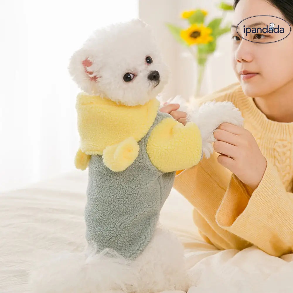 かわいい ペット 秋冬用 小型犬 フード付き コットンジャケット テディベア ビションフリーゼ チワワ 冬季用 犬服 冬バージョン ID2455