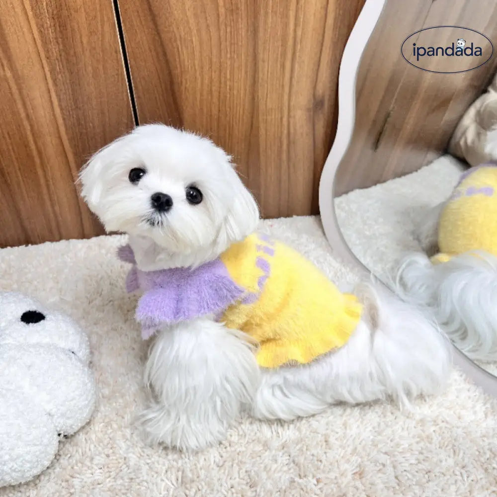 可愛い 保温 ペット フリル ストラップ セーター 猫 犬 秋冬 ヨークシャー マルチーズ ID2763
