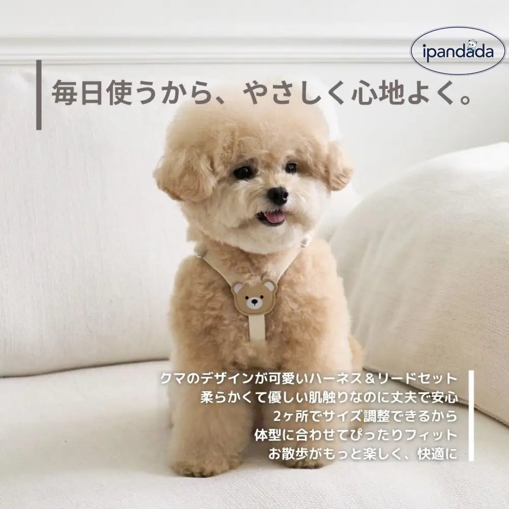 可愛い クマちゃんデザイン ハーネス リード セット 犬用 超小型犬 小型犬 猫用 6kg 7kgまで対応 幅1.5cm やわらか素材 丈夫で安心 2ヶ所調整でぴったりフィット 手にやさしい持ち心地 散歩 ペット用品 ID4574