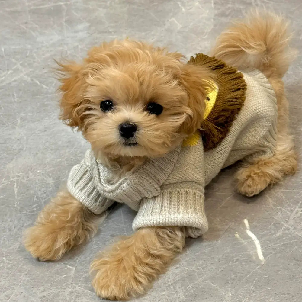 可愛い おしゃれ 暖かい ふわふわ 犬用ベスト ライオンセーター 猫用 犬用 ペット 秋冬 保温 厚手 防寒 中小型犬 テディ ビション ID3045 ベージュ / XS ペット用品＞ウェア