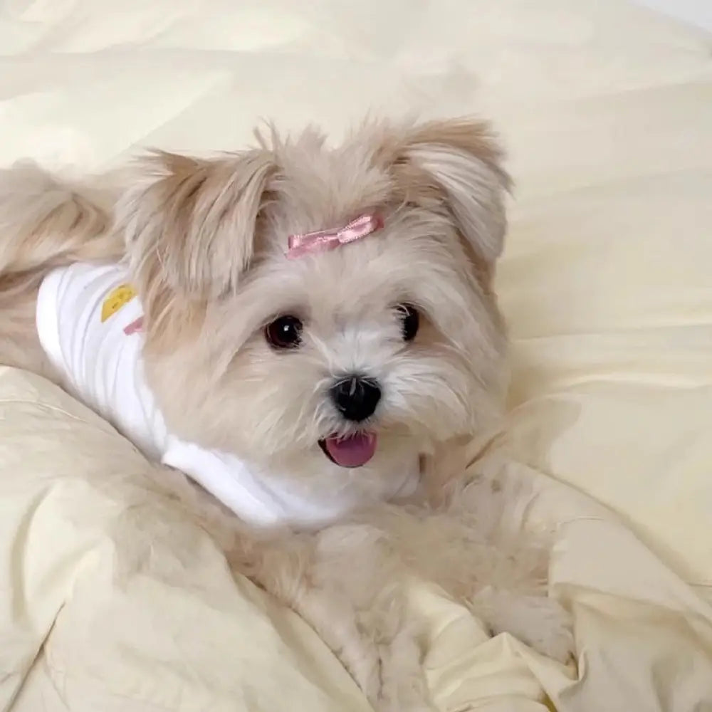 可愛い リボン 夏秋用 ビションフリーゼ ヨークシャーテリア 牽引可能 ベスト 小型犬 猫 ペット 小犬 服 ID2021 ピンク / XS ペット用品>ウェア