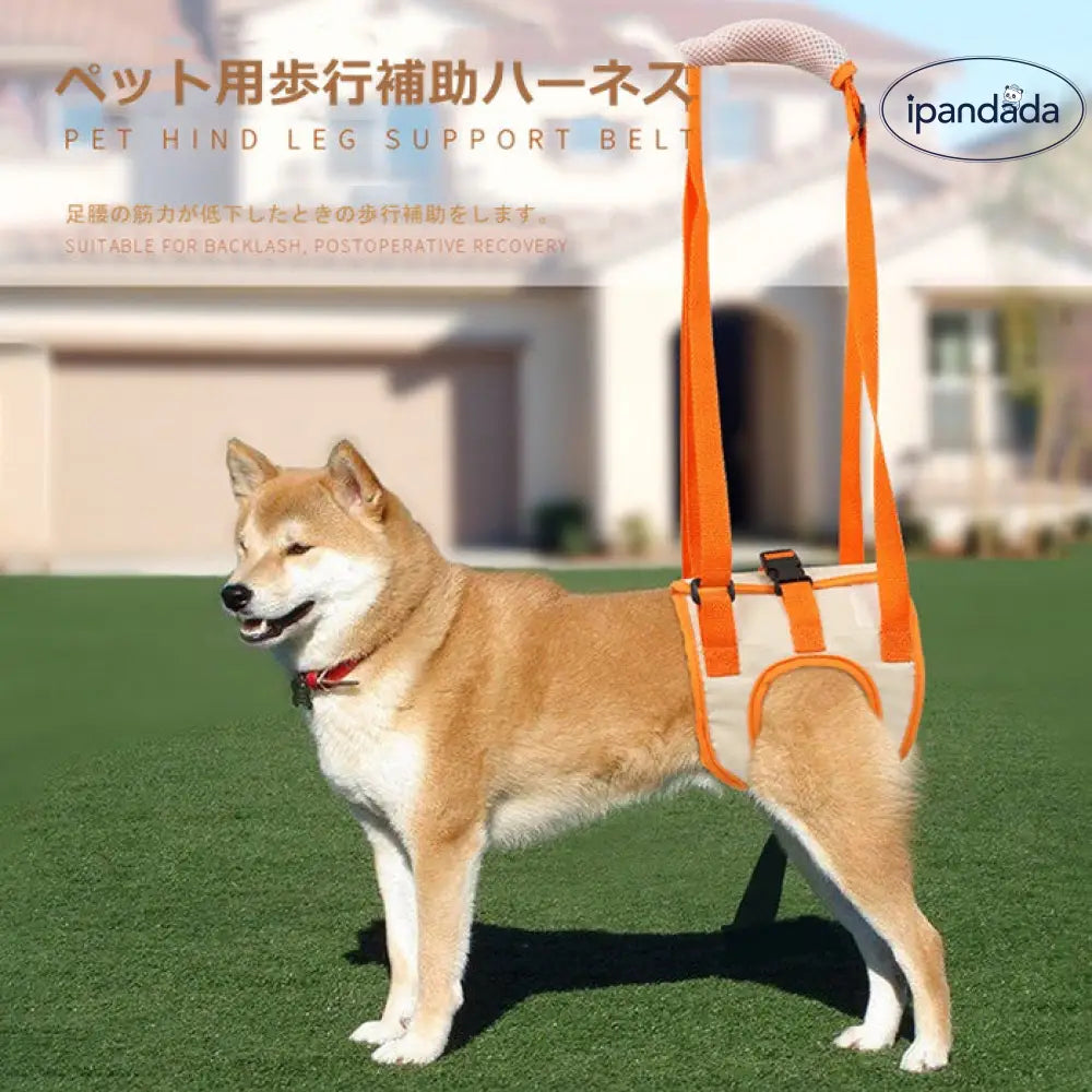 老犬介護用 犬用 介護ハーネス 歩行補助ハーネス 胴輪 後ろ足 小型犬 中型犬 大型犬用 ドッグハーネス 老犬 歩行サポート 補助器具 散歩 術後 いぬ イヌ 介護用品 犬用品 ペット用品 歩行補助ハーネス 後足用 ID2217