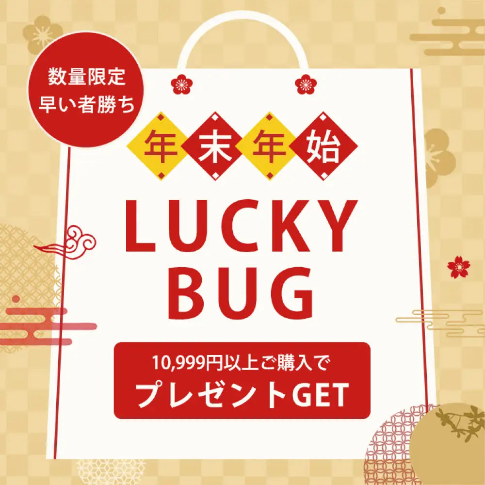 【LUCKYBAG】10,999円以上で無料贈呈中！早い者勝ち！ 福袋1点（自動郵送）
