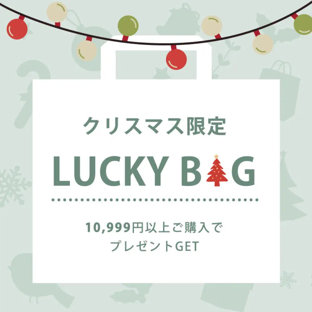 【LUCKYBAG】10,999円以上で無料贈呈中！早い者勝ち！ 福袋1点（自動郵送）