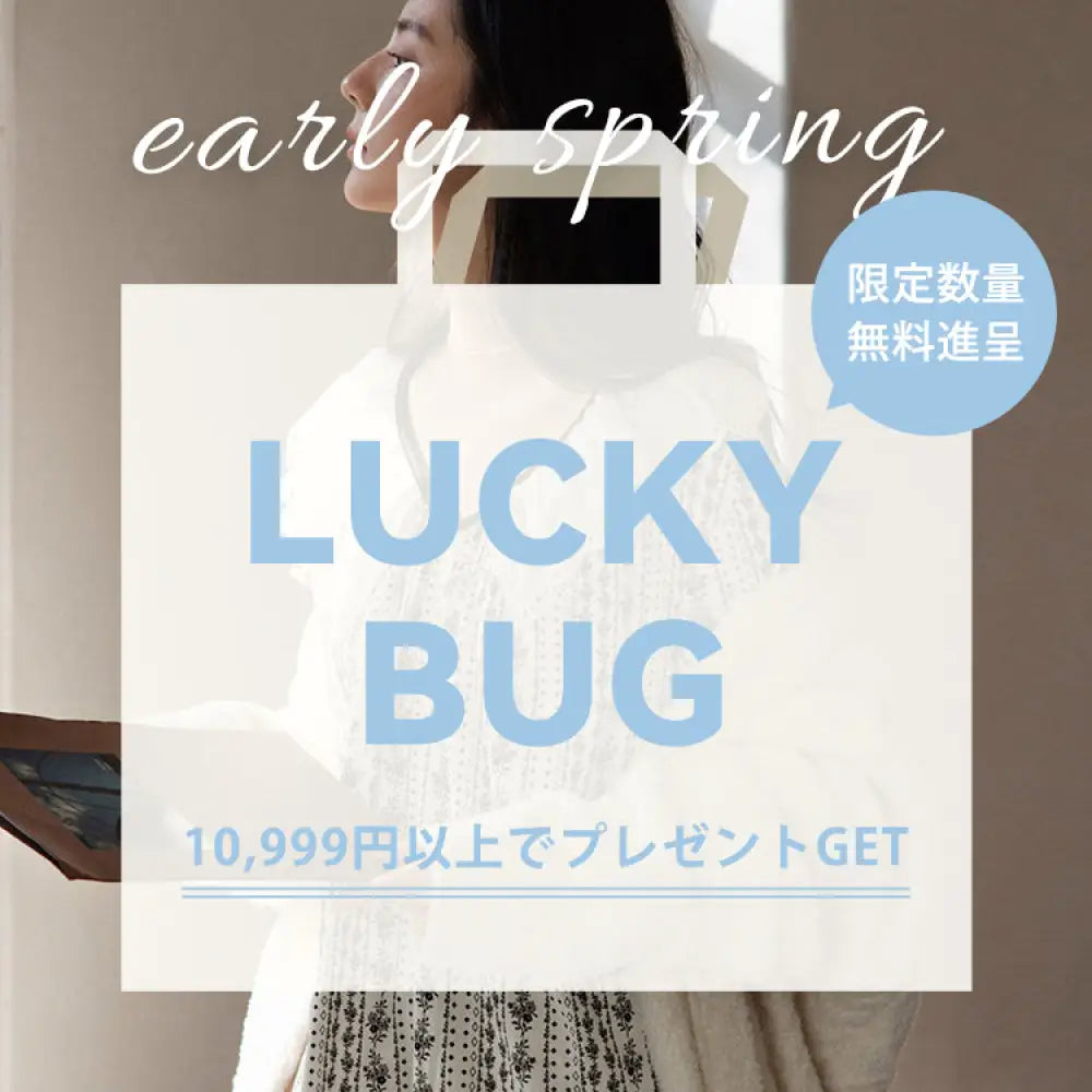 【LUCKYBAG】10,999円以上で無料贈呈中！早い者勝ち！ 福袋1点（自動郵送）