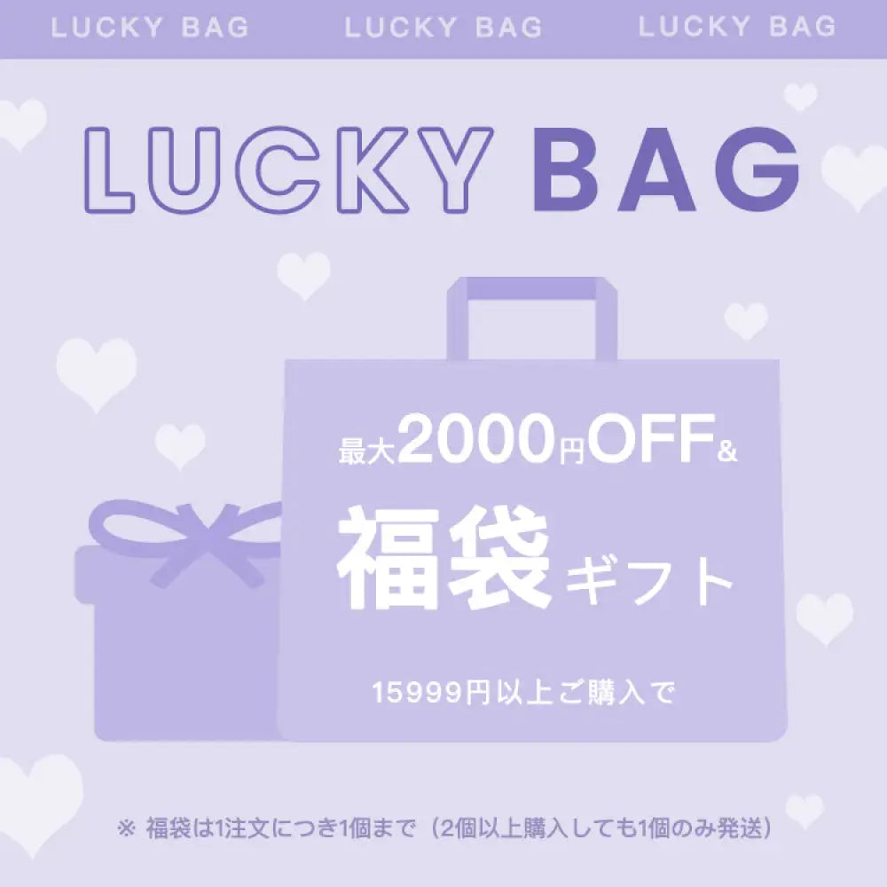 【LUCKYBAG】15,999円以上で無料贈呈中！早い者勝ち！ 福袋1点（自動郵送）