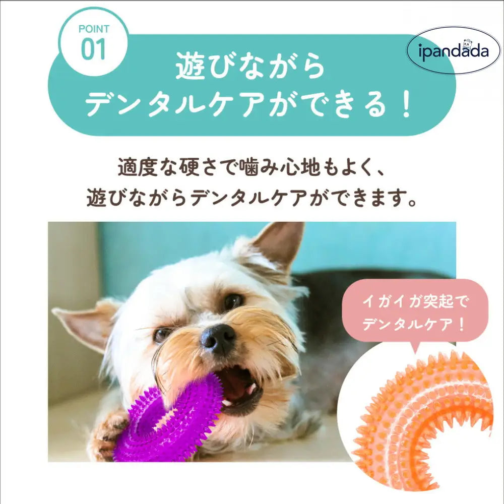 輪っか ボール リング 音が鳴る おもちゃ 選べる S M ペット 輪 犬 猫 小型犬 中型犬 大型犬 音玩具 玩具 TOY  トイ 可愛い かわいい 人気 ピコピコ イガイガ デンタルケア ダイエット トレーニング 運動 定型外 ID1902