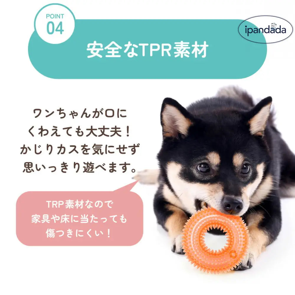 輪っか ボール リング 音が鳴る おもちゃ 選べる S M ペット 輪 犬 猫 小型犬 中型犬 大型犬 音玩具 玩具 TOY  トイ 可愛い かわいい 人気 ピコピコ イガイガ デンタルケア ダイエット トレーニング 運動 定型外 ID1902