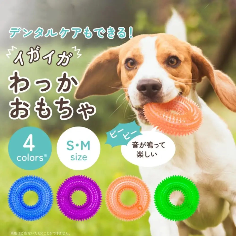 輪っか ボール リング 音が鳴る おもちゃ 選べる S M ペット 輪 犬 猫 小型犬 中型犬 大型犬 音玩具 玩具 TOY  トイ 可愛い かわいい 人気 ピコピコ イガイガ デンタルケア ダイエット トレーニング 運動 定型外 ID1902
