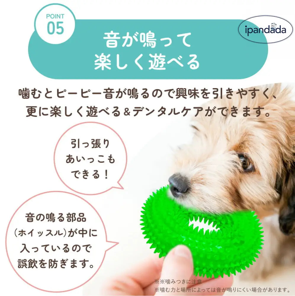 輪っか ボール リング 音が鳴る おもちゃ 選べる S M ペット 輪 犬 猫 小型犬 中型犬 大型犬 音玩具 玩具 TOY  トイ 可愛い かわいい 人気 ピコピコ イガイガ デンタルケア ダイエット トレーニング 運動 定型外 ID1902