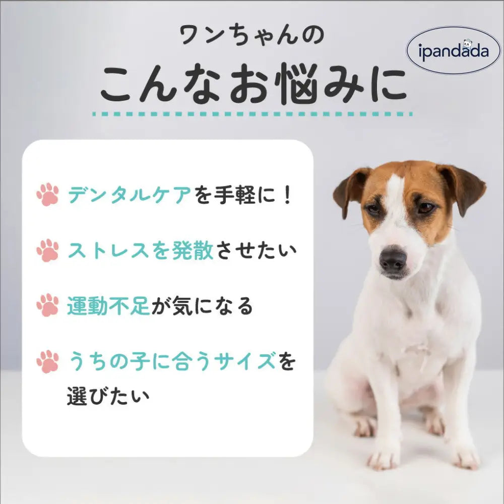 輪っか ボール リング 音が鳴る おもちゃ 選べる S M ペット 輪 犬 猫 小型犬 中型犬 大型犬 音玩具 玩具 TOY  トイ 可愛い かわいい 人気 ピコピコ イガイガ デンタルケア ダイエット トレーニング 運動 定型外 ID1902