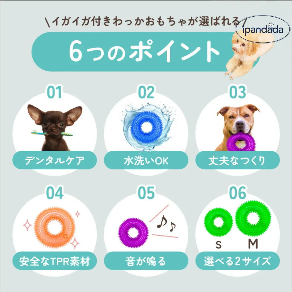 輪っか ボール リング 音が鳴る おもちゃ 選べる S M ペット 輪 犬 猫 小型犬 中型犬 大型犬 音玩具 玩具 TOY  トイ 可愛い かわいい 人気 ピコピコ イガイガ デンタルケア ダイエット トレーニング 運動 定型外 ID1902