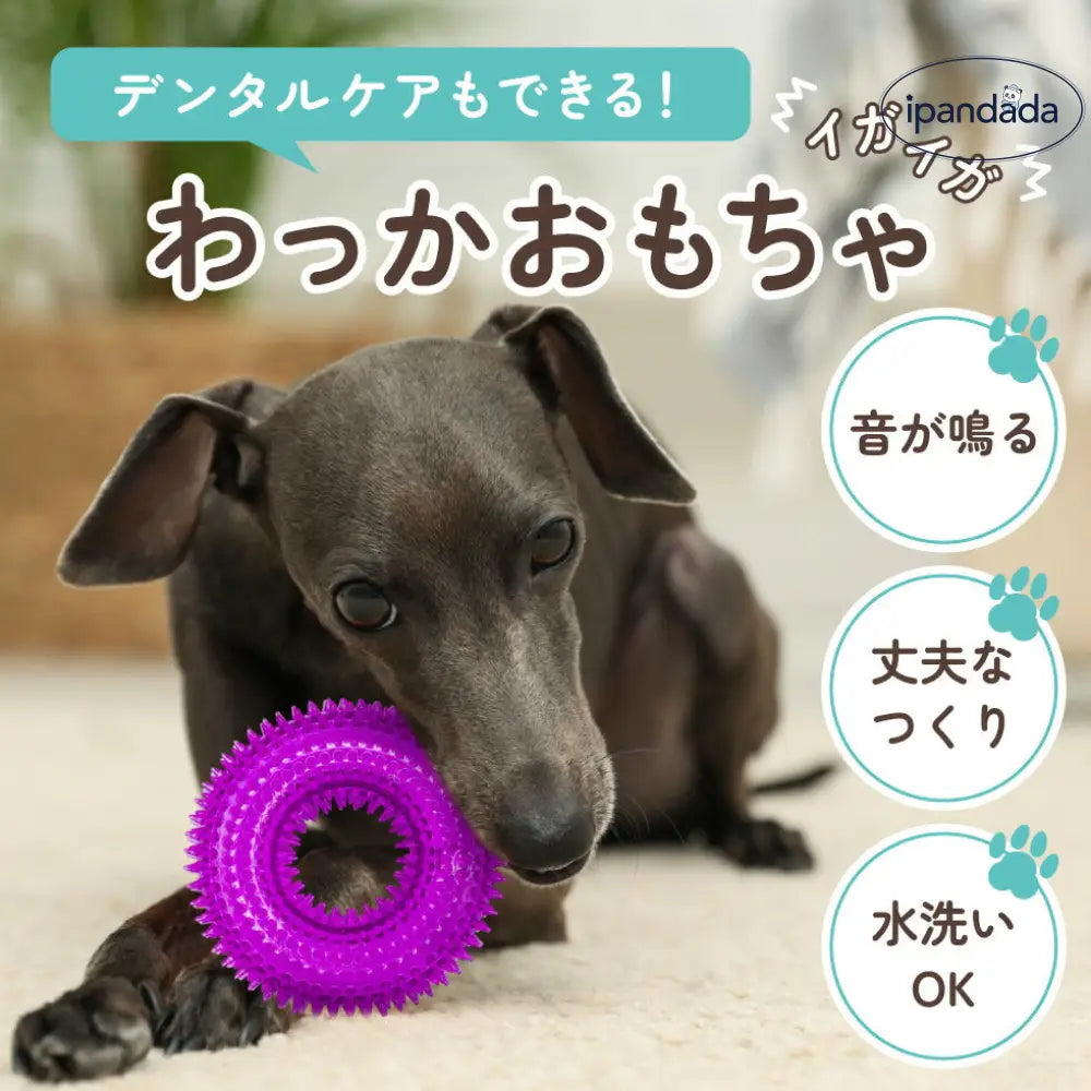 輪っか ボール リング 音が鳴る おもちゃ 選べる S M ペット 輪 犬 猫 小型犬 中型犬 大型犬 音玩具 玩具 TOY  トイ 可愛い かわいい 人気 ピコピコ イガイガ デンタルケア ダイエット トレーニング 運動 定型外 ID1902