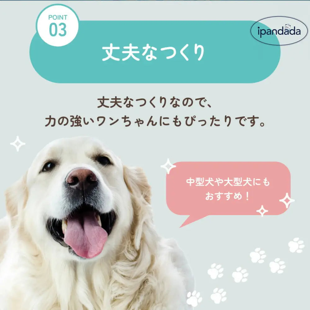 輪っか ボール リング 音が鳴る おもちゃ 選べる S M ペット 輪 犬 猫 小型犬 中型犬 大型犬 音玩具 玩具 TOY  トイ 可愛い かわいい 人気 ピコピコ イガイガ デンタルケア ダイエット トレーニング 運動 定型外 ID1902