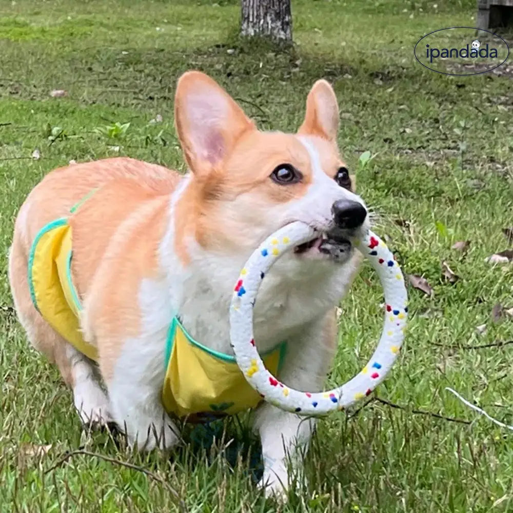 輪っか 犬 おもちゃ 噛む リング 投げる 強い 安全 ボール 玩具 柔らかい 投げ 犬おもちゃ ひとり遊び 留守番 ペット用 運動不足 送料無料 壊れにくい 丈夫 頑丈中型犬 大型犬 ID1885