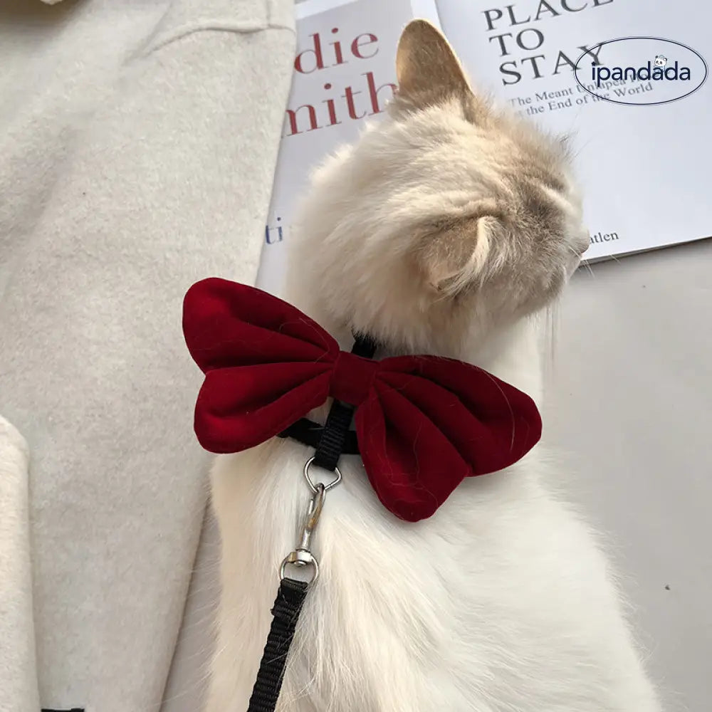 猫用 ハーネス リード 高級感 小型猫 犬 お出かけ用 迷子防止 脱走防止 安全 散歩 可愛い ペット用 おしゃれ かわいい ID4479 ペット用品＞ハーネス・リード