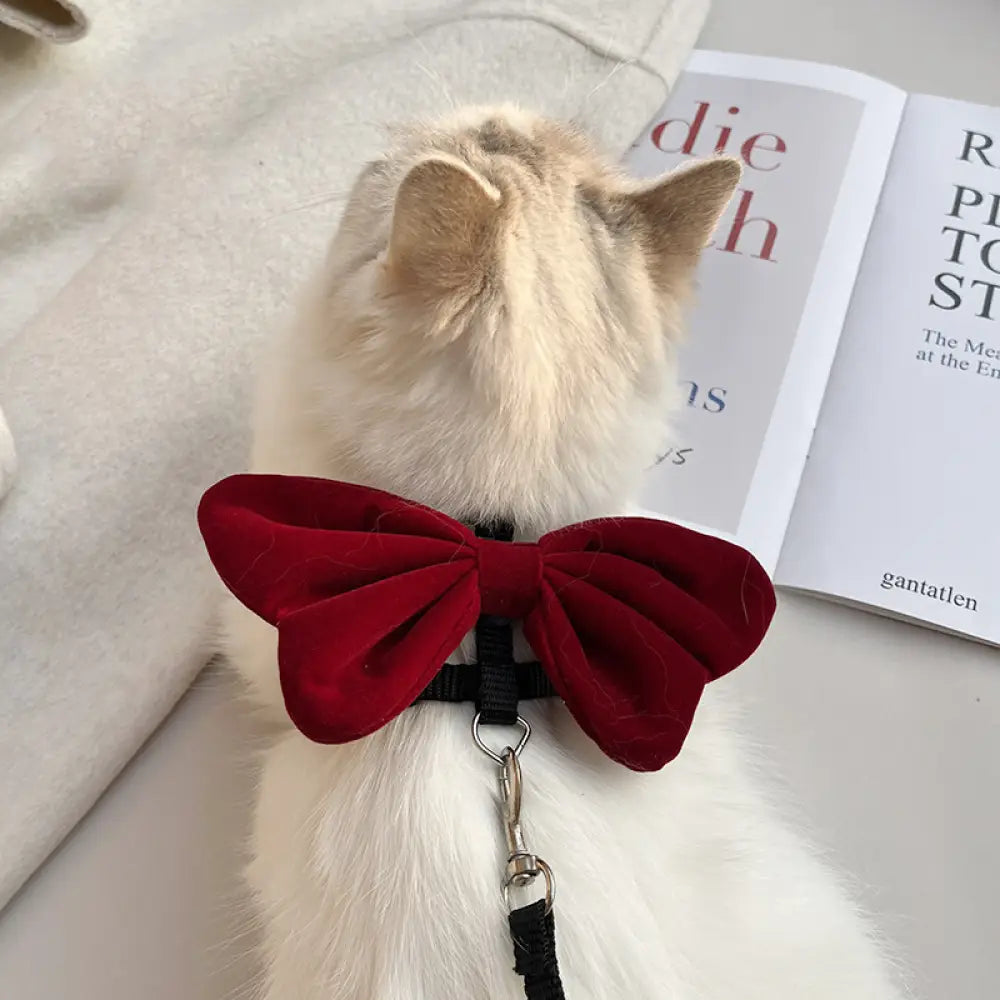 猫用 ハーネス リード 高級感 小型猫 犬 お出かけ用 迷子防止 脱走防止 安全 散歩 可愛い ペット用 おしゃれ かわいい ID4479 ペット用品＞ハーネス・リード