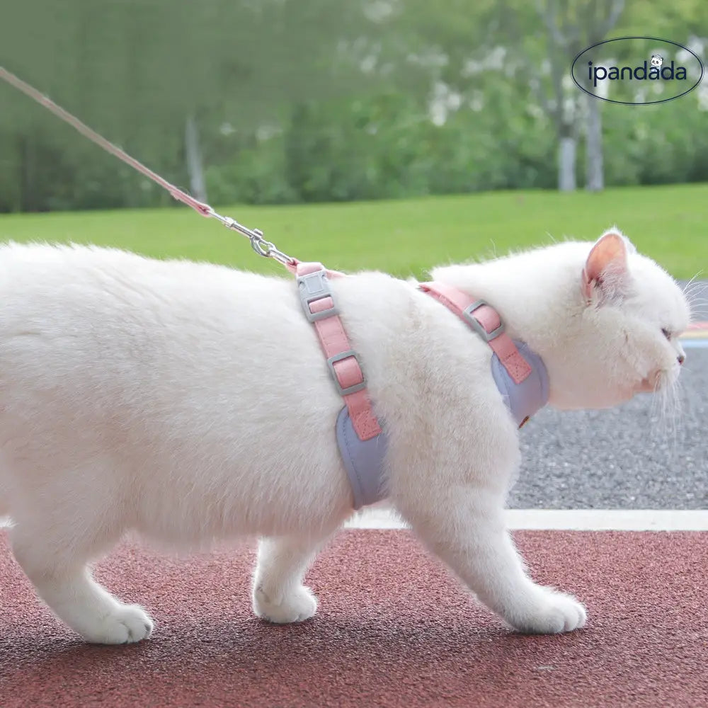 猫用 ハーネス 逃げ防止 胸部 背中ベルト 外出用 猫のリード 調整可能 ペット 牽引ロープ ID2518