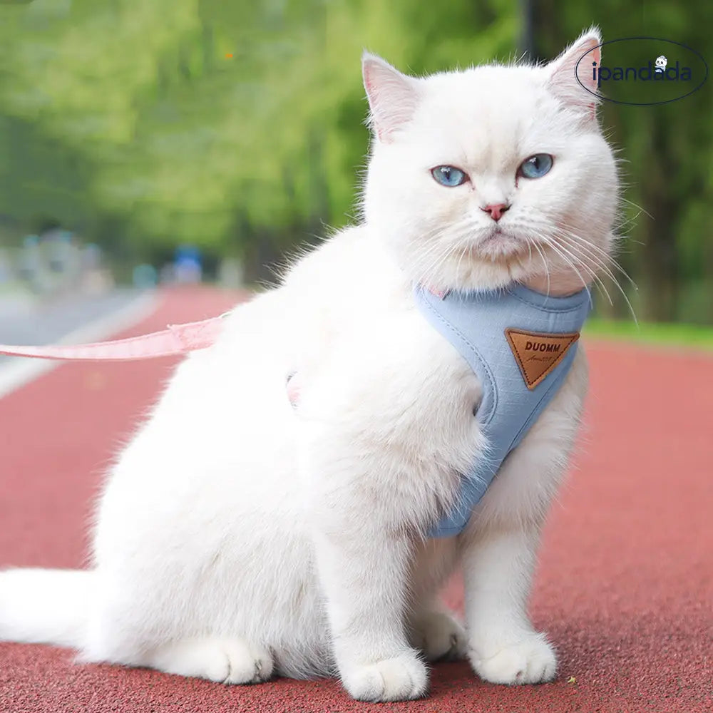 猫用 ハーネス 逃げ防止 胸部 背中ベルト 外出用 猫のリード 調整可能 ペット 牽引ロープ ID2518