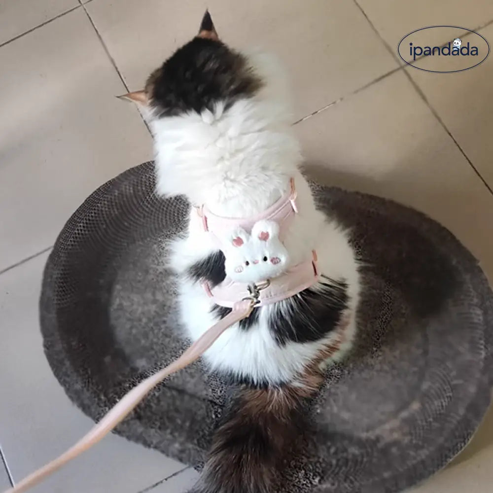 猫用 リード 逃げ出し防止 ハーネスタイプ ペット用 犬 お散歩 ロスト防止 キャット用 ドッグリード 可愛い うさぎ くま ID2215