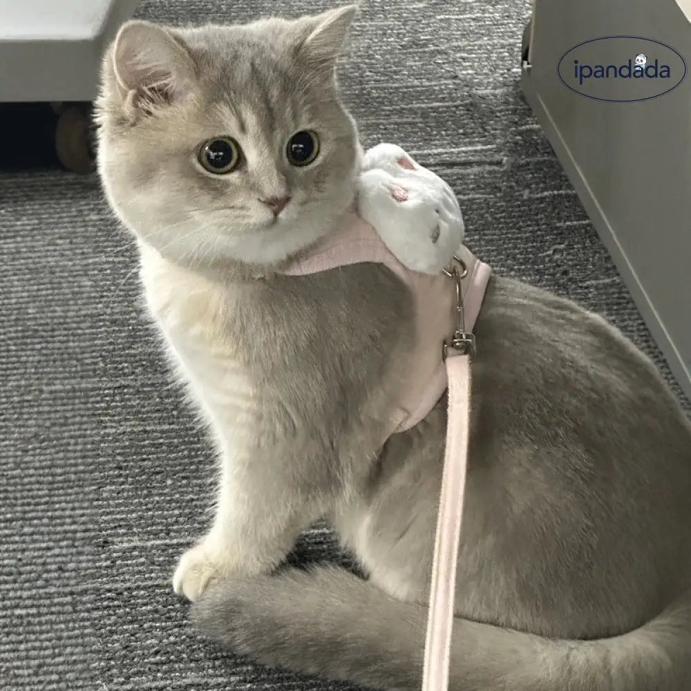 猫用 リード 逃げ出し防止 ハーネスタイプ ペット用 犬 お散歩 ロスト防止 キャット用 ドッグリード 可愛い うさぎ くま ID2215