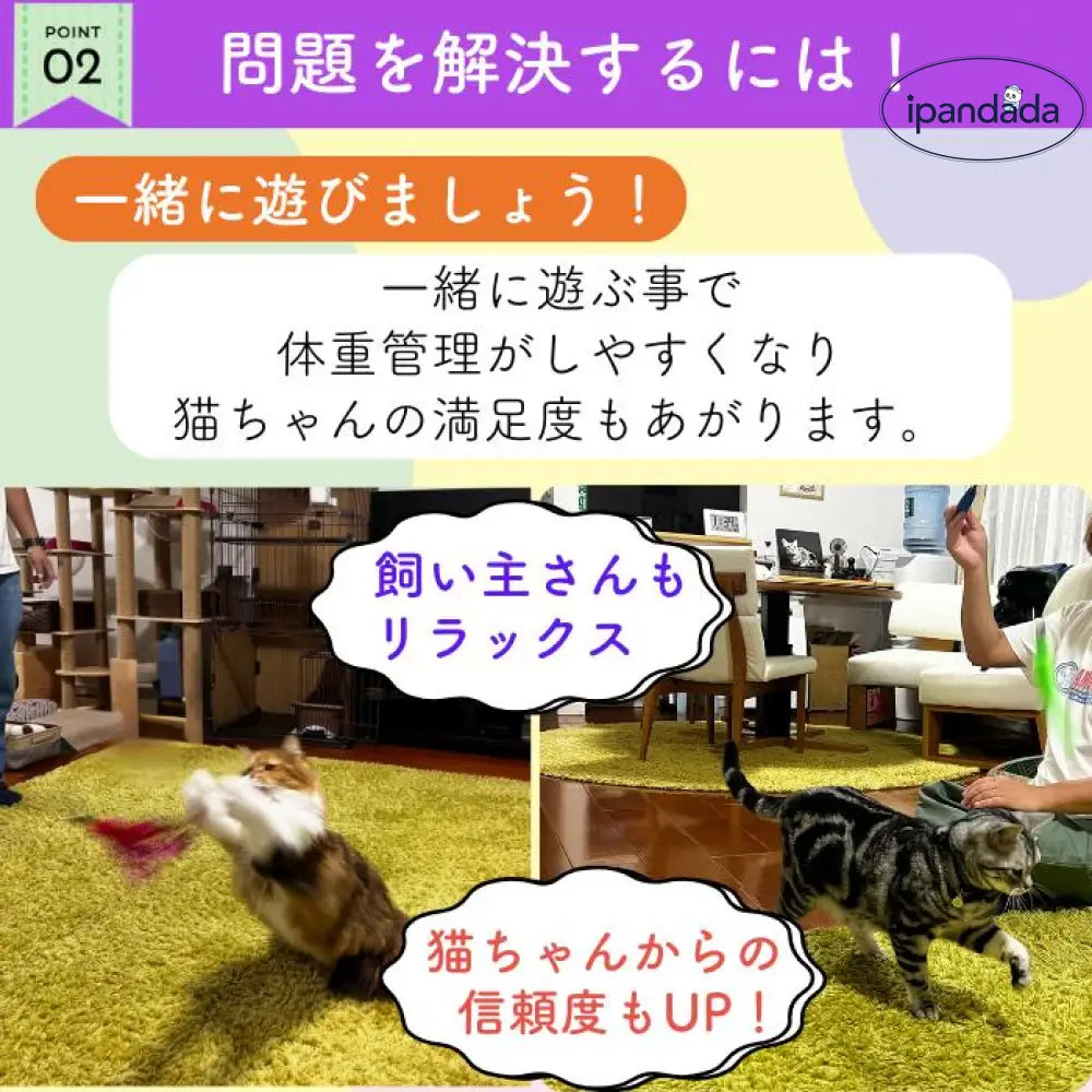 猫じゃらし ねこじゃらし 猫 じゃらし おもちゃ もこもこ ネコ 可愛い かわいい 遊ぶ 雑貨 天然 遊び ペット グッズ ペット用品 運動不足 ピンク ブルー キャット にゃんこ ストレス解消グッズ ID1981