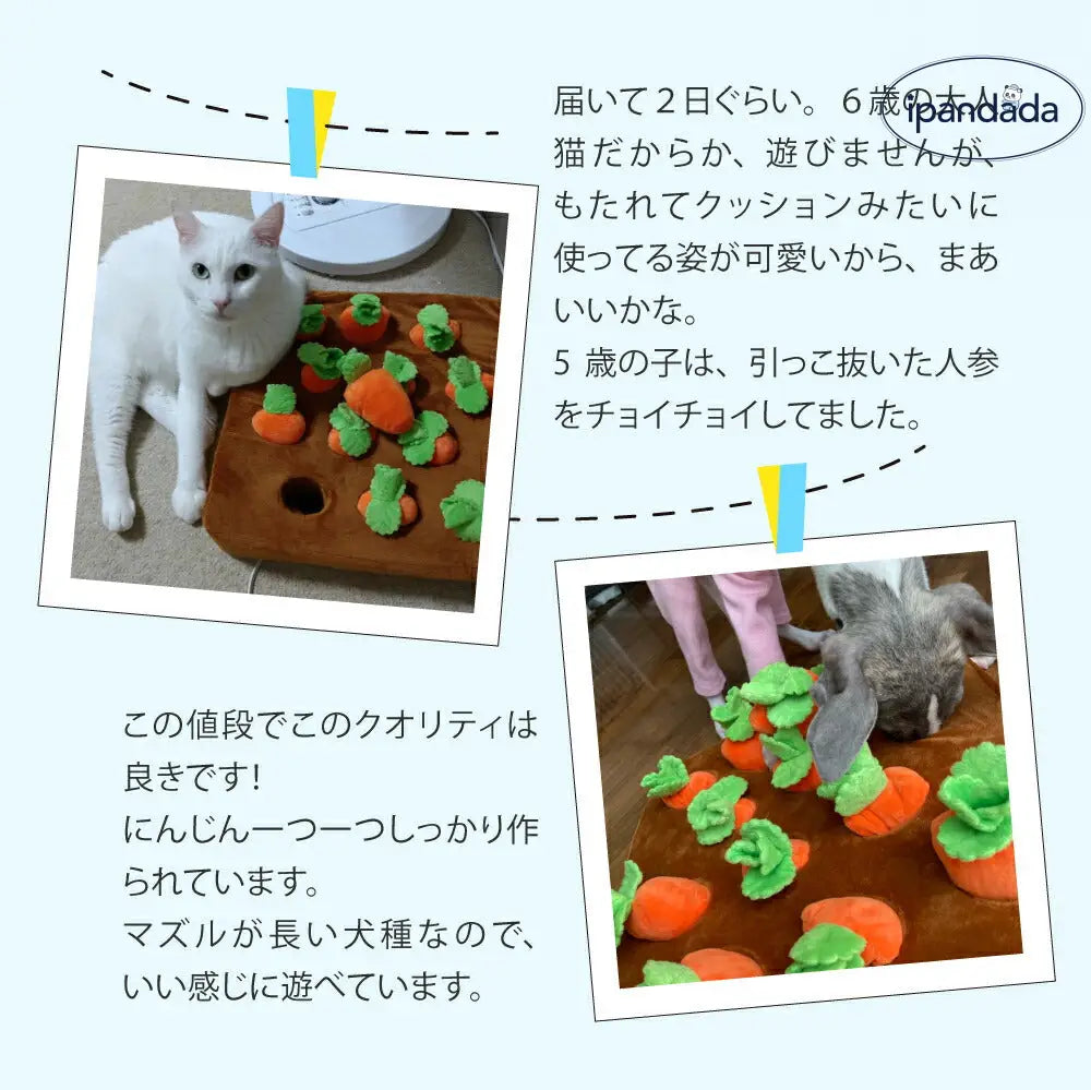 ノーズワーク にんじん 犬のおもちゃ ペット にんじん 畑 人参 ペット用品 犬 にんじん畑 ノーズワークマット 訓練 用品 嗅覚 トレーニング 犬 知育玩具 知育 ID1888