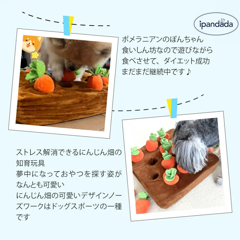 ノーズワーク にんじん 犬のおもちゃ ペット にんじん 畑 人参 ペット用品 犬 にんじん畑 ノーズワークマット 訓練 用品 嗅覚 トレーニング 犬 知育玩具 知育 ID1888