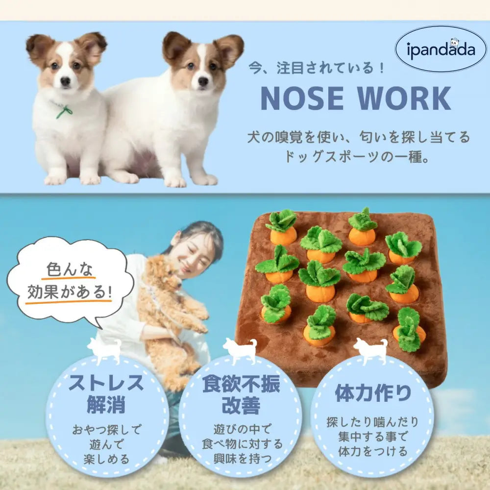 ノーズワーク にんじん 犬のおもちゃ ペット にんじん 畑 人参 ペット用品 犬 にんじん畑 ノーズワークマット 訓練 用品 嗅覚 トレーニング 犬 知育玩具 知育 ID1888