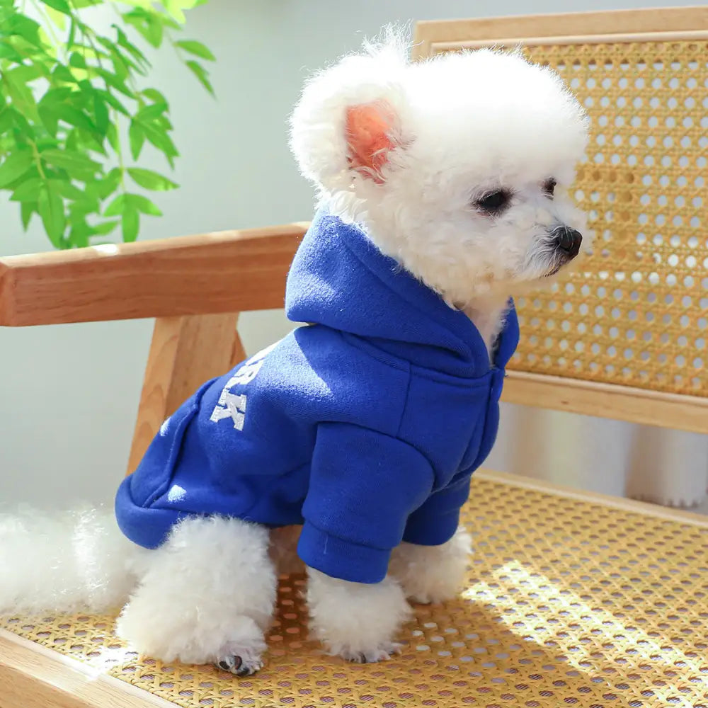 ID383 犬服 ドッグウェア パーカー かわいい おしゃれ 犬用 夏服 飼い主とペア 春 夏 XS-XL サイズから選べる ペアルック ブルー / XS ペット用品＞ウェア